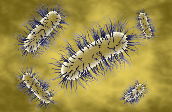 Criteria to ensure the proper use of the word probiotic