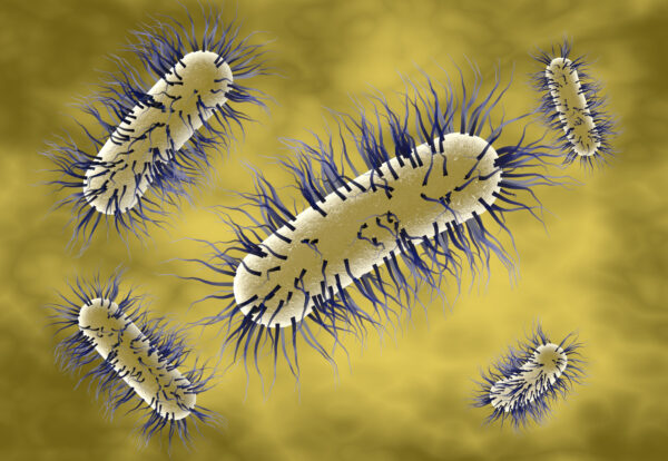 Criteria to ensure the proper use of the word probiotic