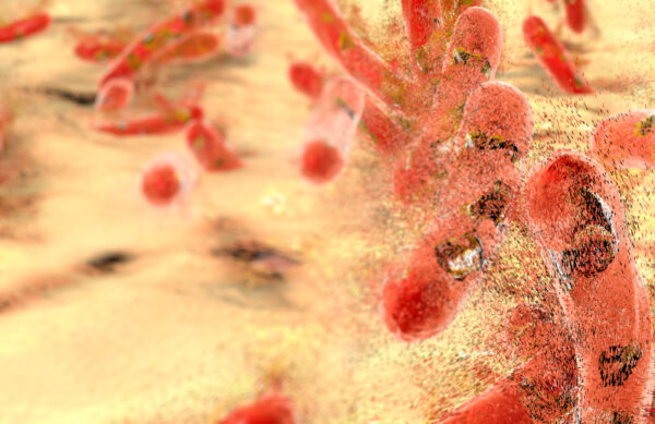 The importance of enzymes immobilization