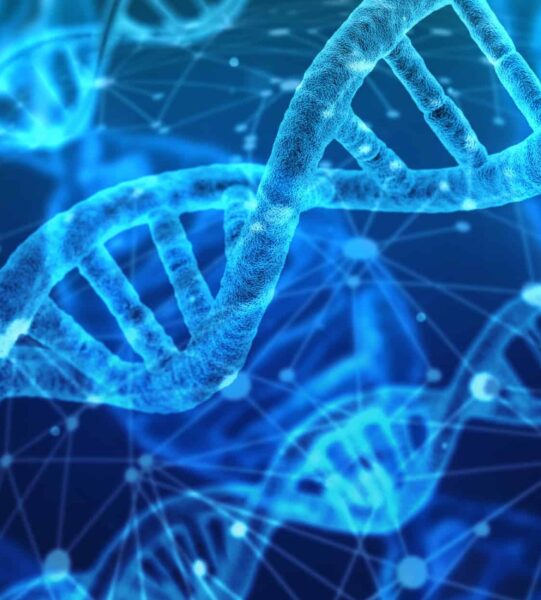 dna-3539309-1 dna-3539309-1